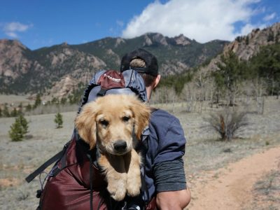 un chico paseando con su perro por la montaña cargándolo en una mochila
